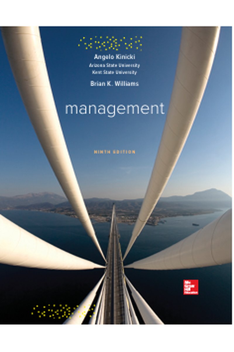 Management: A Practical Introduction
